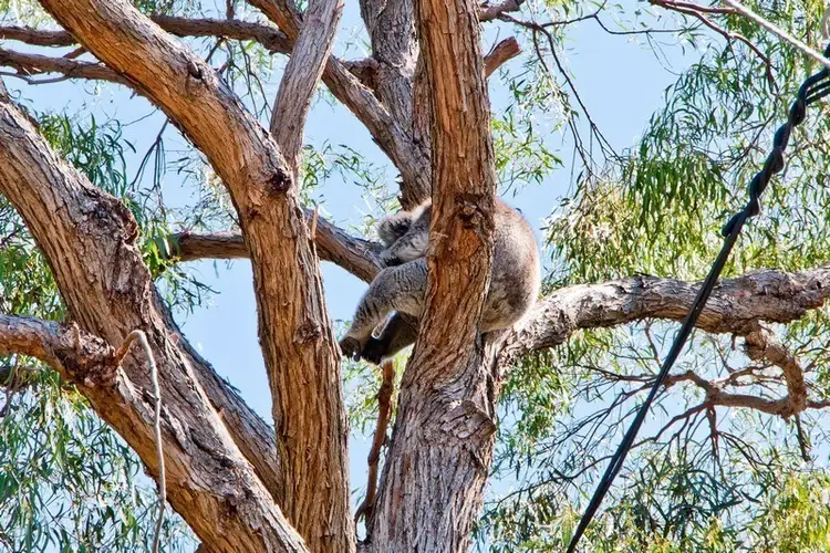 Fifth view of Homely house listing, 71A Wattlebury Ave, Lower Mitcham SA 5062