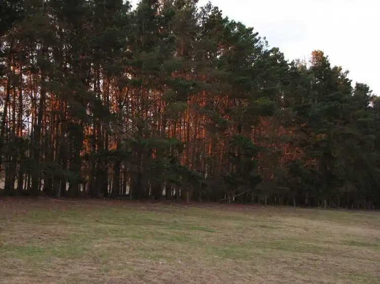 Third view of Homely rural property listing, 15088 Hume Highway, Marulan NSW 2579