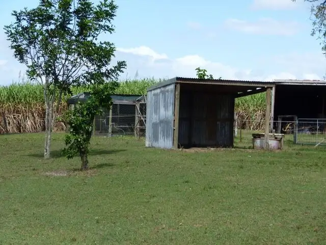 Fourth view of Homely house listing, 136 Conway Road, Conway QLD 4800