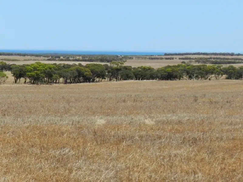 Main view of Homely rural property listing, Haslam Dog Fence Rd Haslam, Streaky Bay SA 5680