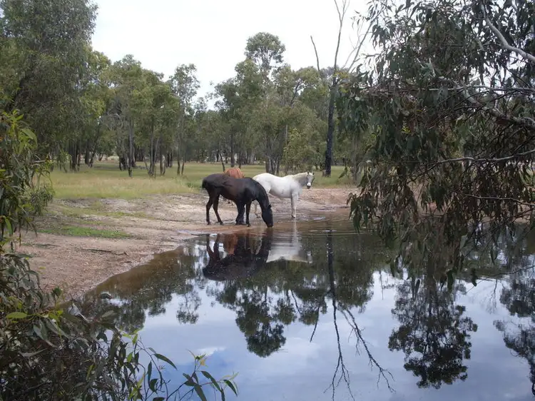 Fourth view of Homely rural property listing, 60 Olive Road, Wundowie WA 6560