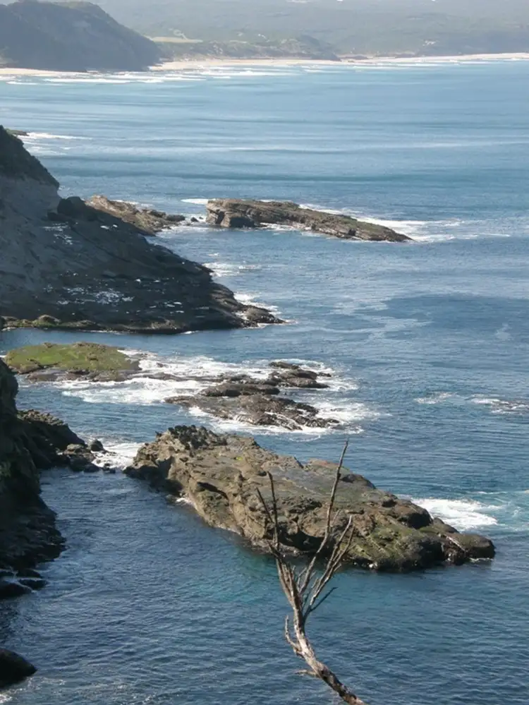 Sixth view of Homely house listing, 119 Knowledge Track (Yuulong), Apollo Bay VIC 3233