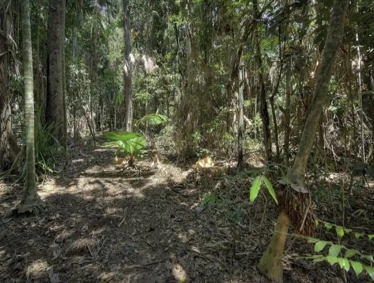 Sixth view of Homely house listing, 1361 Mossman- Daintree Rd, Rocky Point QLD 4873