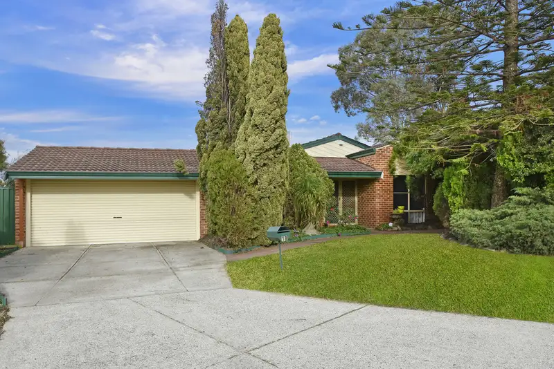 Main view of Homely house listing, 18 Jennifer Place, Alexander Heights WA 6064