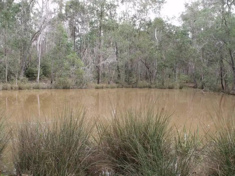 Seventh view of Homely rural property listing, 3963 Maryborough-Biggenden Road, Aramara QLD 4620