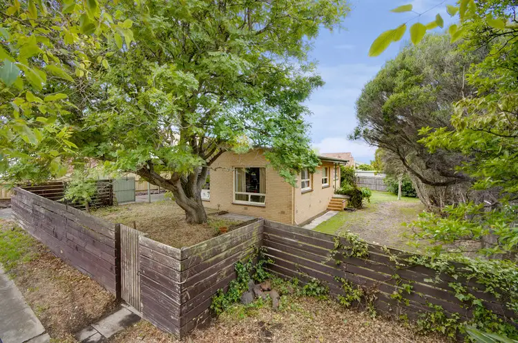 20 Stinton Avenue, Newtown VIC 3220