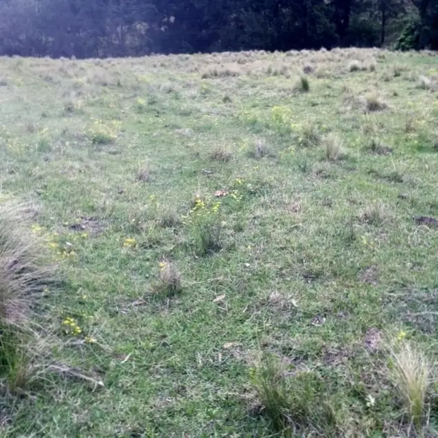 Sixth view of Homely rural property listing, Address available on request