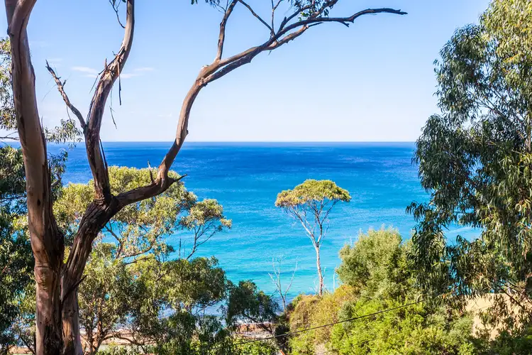 Third view of Homely house listing, 5 Iluka Avenue, Wye River VIC 3221