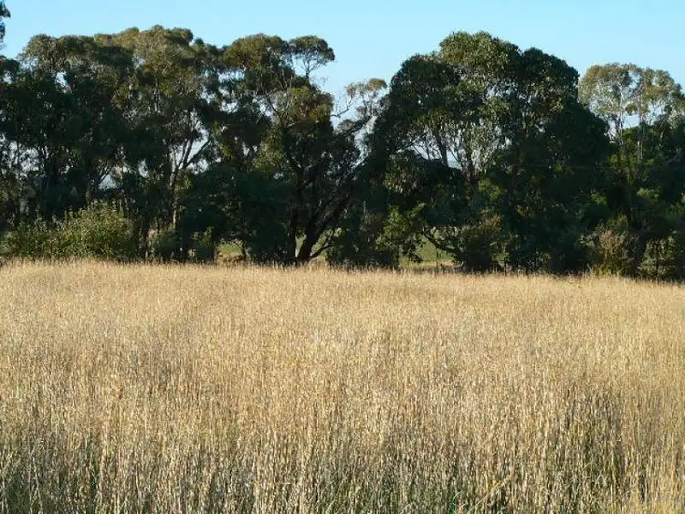 Second view of Homely rural property listing, 125 Berrilee Road, Orange NSW 2800
