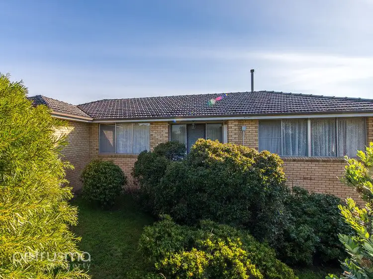 Second view of Homely house listing, 12 Kunama Drive, Kingston Beach TAS 7050