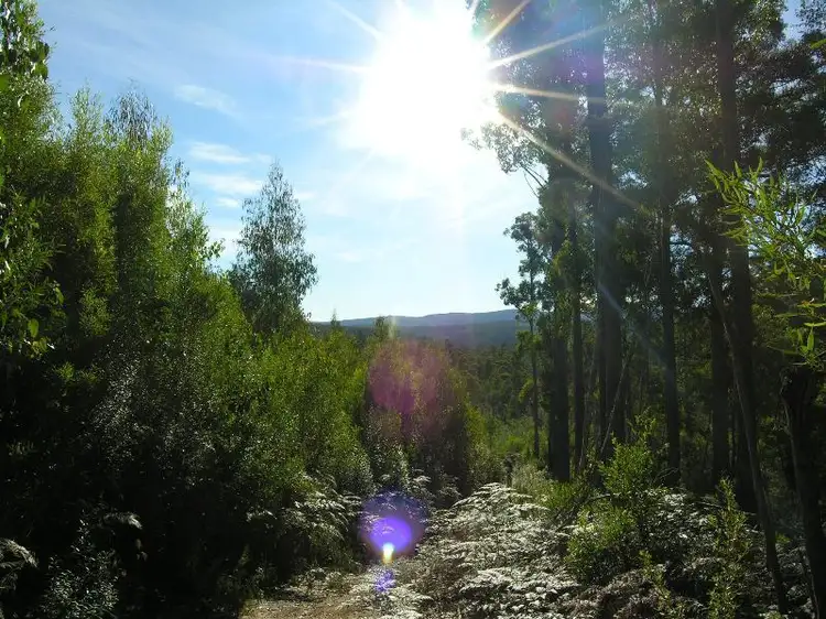 Lot 1 Off Weld Road, Lonnavale TAS 7109