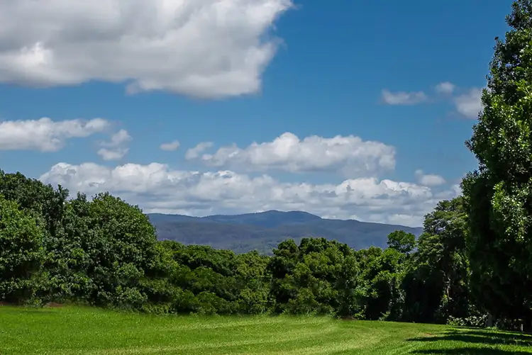 Fourth view of Homely rural property listing, 149-151 Federal Drive, Federal NSW 2480