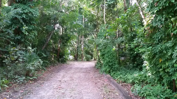 Fourth view of Homely house listing, 10 Morgano Street, Bingil Bay QLD 4852