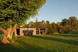 Third view of Homely rural property listing, 152 Casuarina Drive, Eugowra NSW 2806