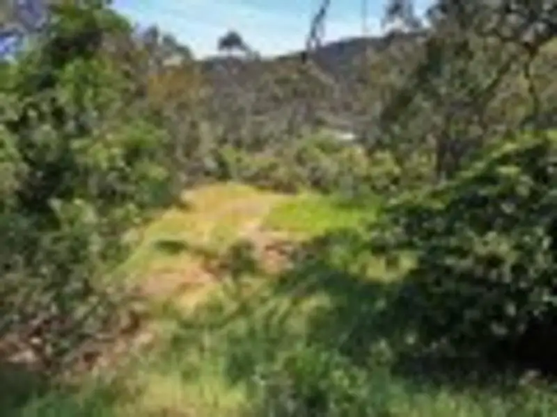 Main view of Homely land listing, 19 Mitchell Grove, Separation Creek VIC 3221