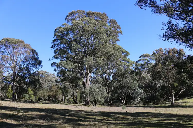 Third view of Homely rural property listing, 1621 Brayton Road, Brayton NSW 2579