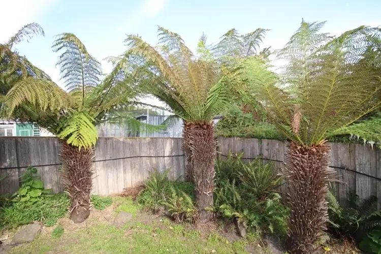 Fifth view of Homely house listing, 1 Cedar Court, Kingston TAS 7050