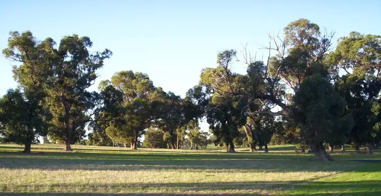 Third view of Homely rural property listing, 216 Rangeview, Gingin WA 6503