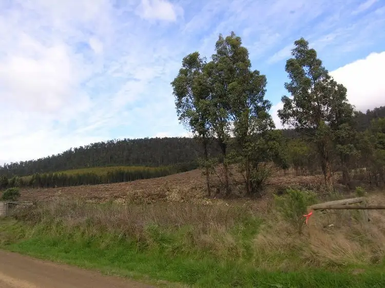 Lot 1 Lonnavale Road, Lonnavale TAS 7109