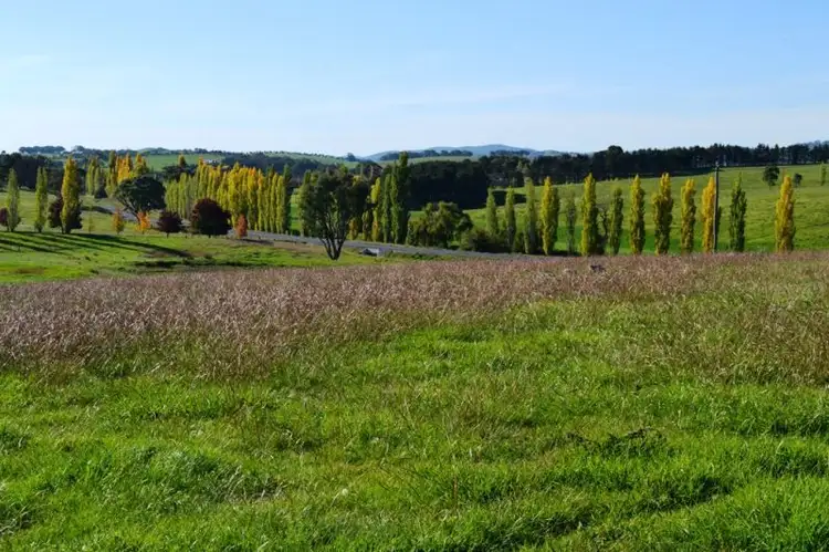 Fourth view of Homely land listing, Willapines Molong Road, Orange NSW 2800