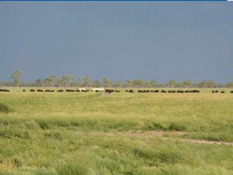 Fifth view of Homely rural property listing, - Talawanta & Ardrossan, Brewarrina NSW 2839