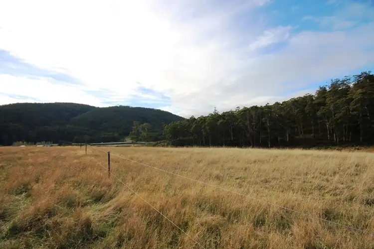 Fourth view of Homely land listing, 49 Acres off Abbots Road, Nicholls Rivulet TAS 7112
