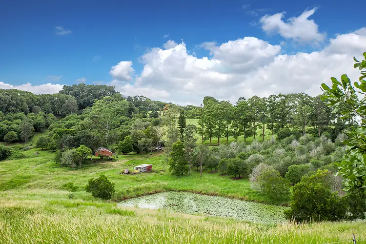 Main view of Homely rural property listing, 1709 Dunoon Road, Dunoon NSW 2480