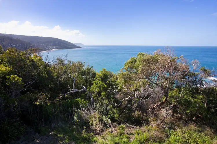 6 Sturt Court, Wye River VIC 3221