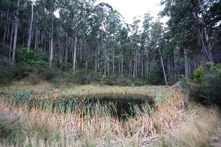 Third view of Homely land listing, 26 acres off Abbots Road, Nicholls Rivulet TAS 7112
