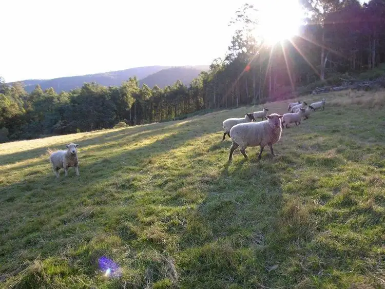 Fourth view of Homely land listing, Palmers Road, Oyster Cove TAS 7150