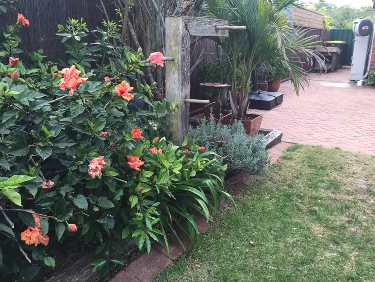 Sixth view of Homely house listing, 31 Belbowrie Parade, Maloneys Beach NSW 2536