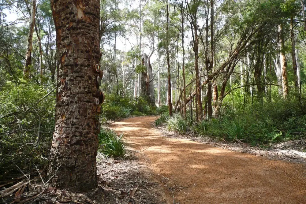 Main view of Homely house listing, 46 Mohr Drive, Denmark WA 6333