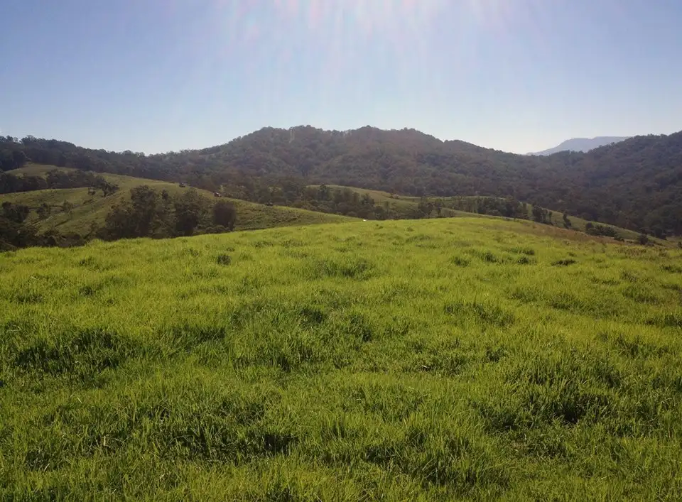 Main view of Homely rural property listing, Address available on request