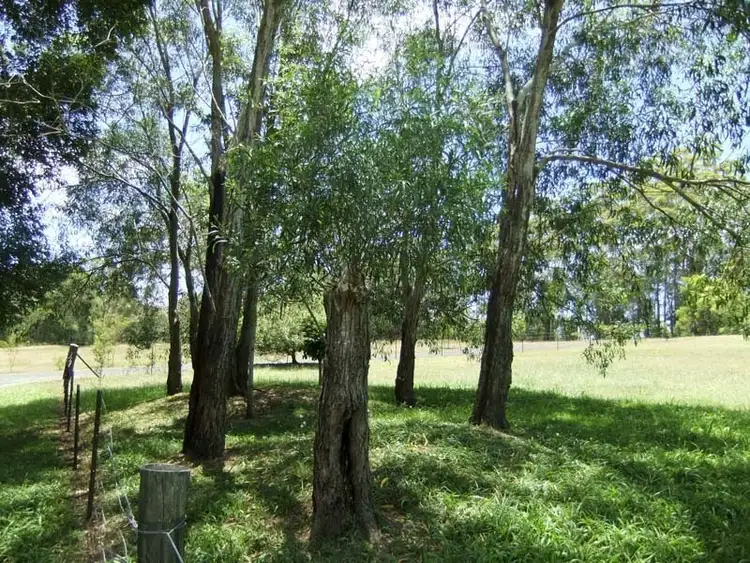 Fifth view of Homely land listing, 462 Murrayville Road, Ashby NSW 2463