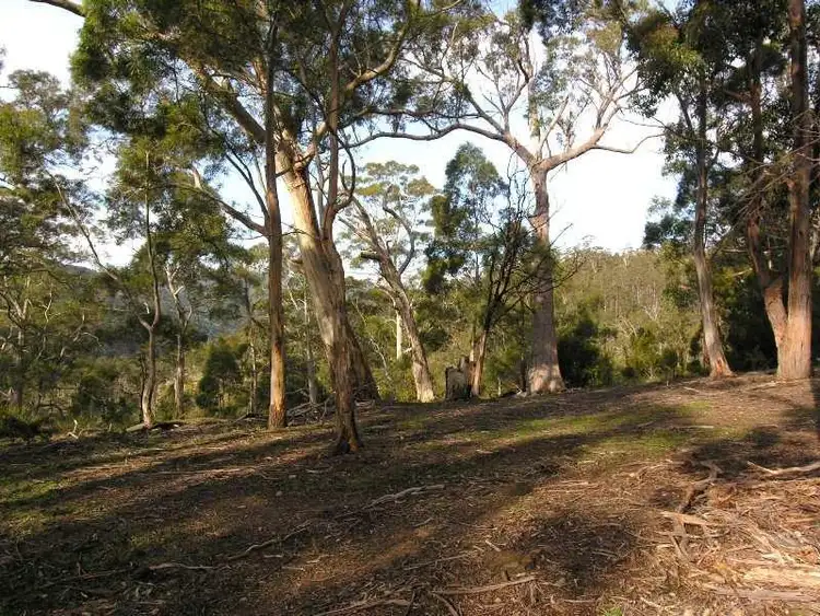 Fourth view of Homely land listing, LOT Office CO Wens Road, Gardners Bay TAS 7109