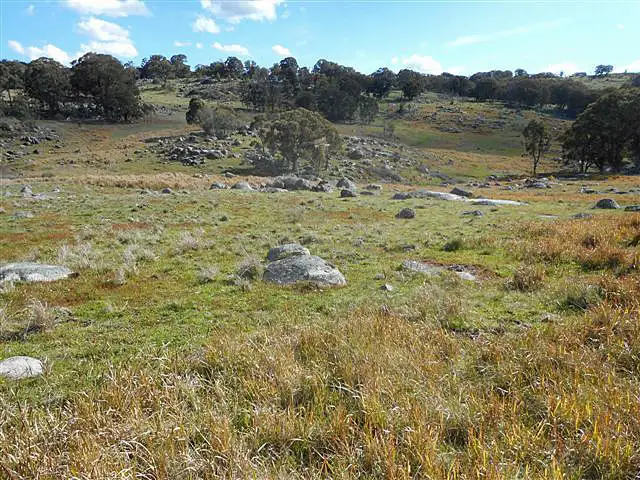 Fifth view of Homely rural property listing, Address available on request