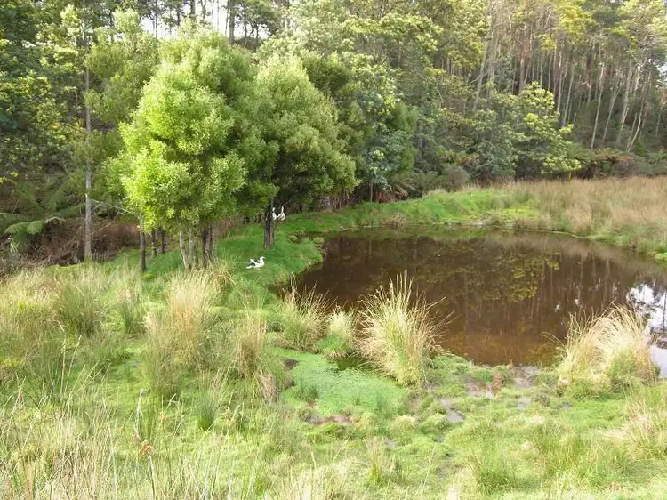Second view of Homely land listing, Sculthorpes Road, Nicholls Rivulet TAS 7112