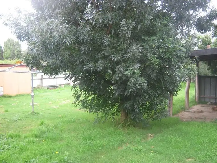 Fourth view of Homely house listing, 5 Campbell STREET, Cooma NSW 2630