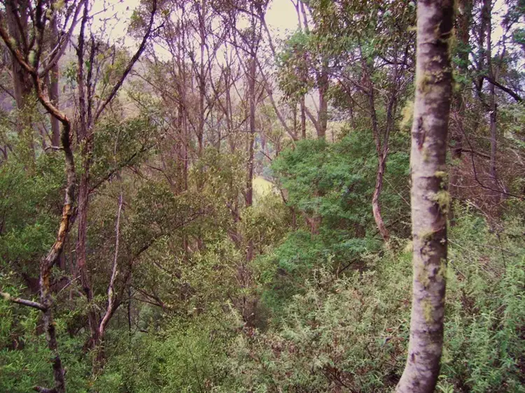 Sixth view of Homely land listing, Lot 1 Waggs Gully Road, Ranelagh TAS 7109