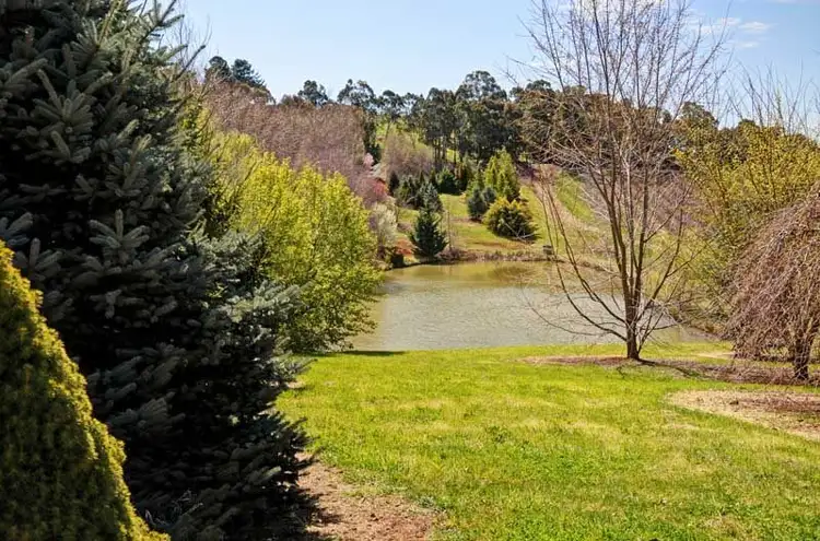 Second view of Homely house listing, 341 Nancarrow Lane, Nashdale NSW 2800