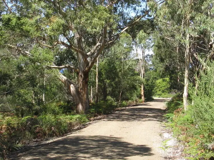 Fifth view of Homely house listing, 189 Harveys Farm Road, Bicheno TAS 7215
