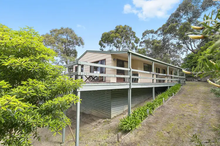 15 Allen Street, Lorne VIC 3232