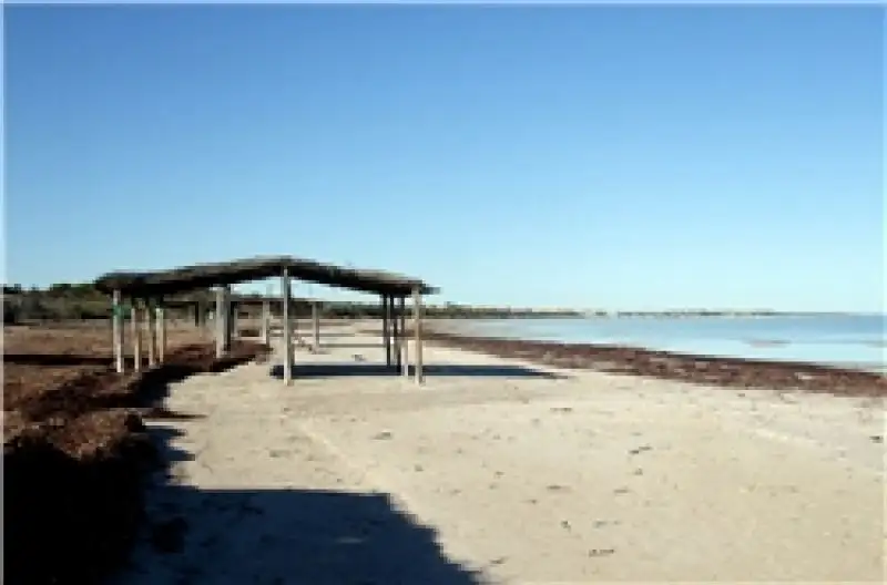 Main view of Homely land listing, 5 Wharff Drive, Perlubie SA 5680