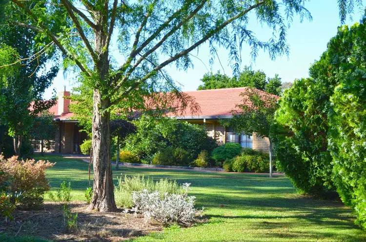 Second view of Homely house listing, 6432 Great Alpine Road, Eurobin VIC 3739