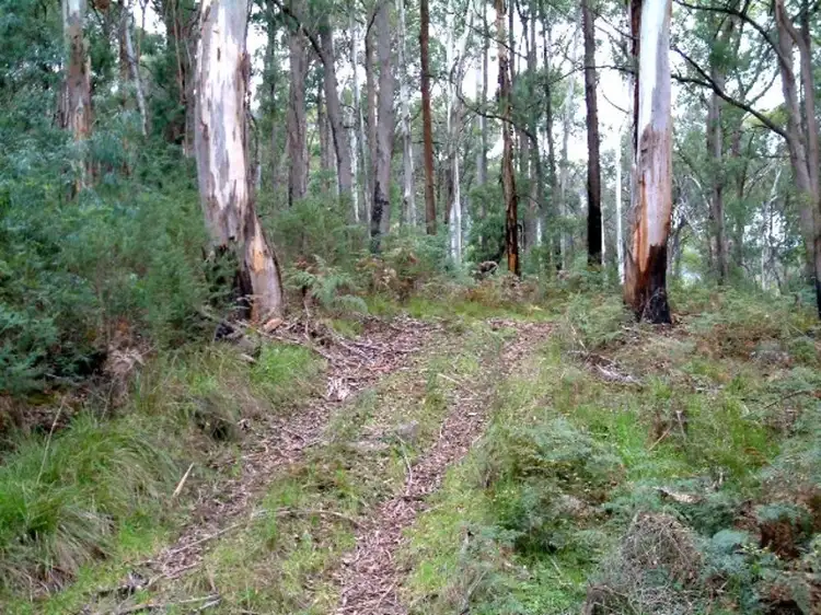 Lot 1 Dredgehole Lane, Harrietville VIC 3741
