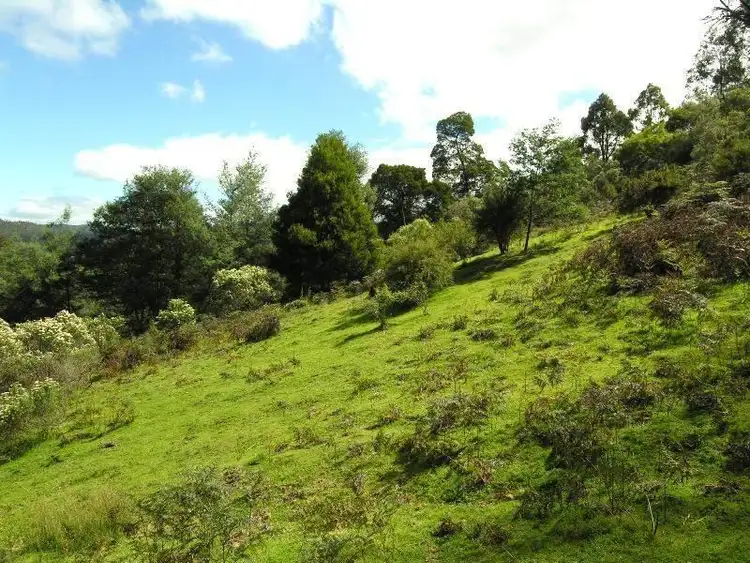 Seventh view of Homely land listing, Woolleys Road, Lonnavale TAS 7109
