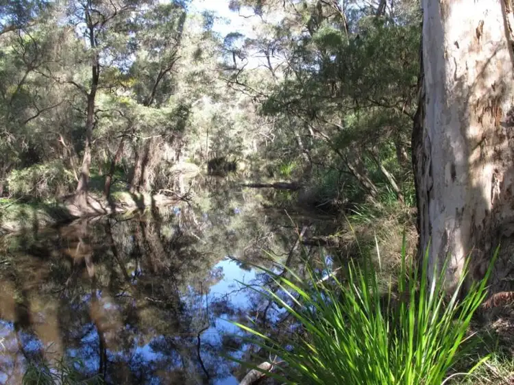 Lot 48 Scotsdale Road, Denmark WA 6333