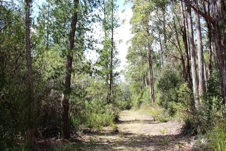 Sixth view of Homely land listing, Land Off Steeles Road, Nicholls Rivulet TAS 7112