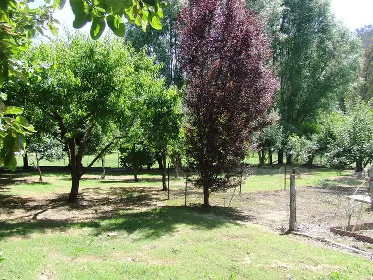 Seventh view of Homely rural property listing, 821 Yackandandah Road, Myrtleford VIC 3737