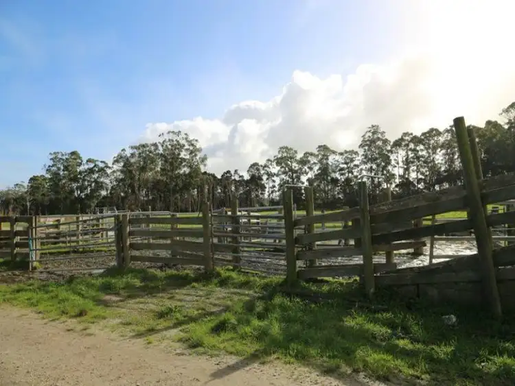 Fourth view of Homely rural property listing, 355 Goldings Road, Scotchtown TAS 7330